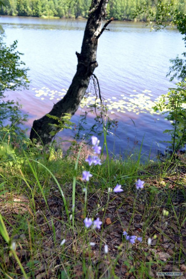 Отдых по-русски.
