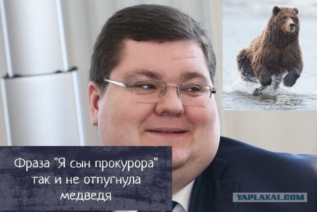 50 оттенков серого или самосвал баянов. Vol. 18. 50 штук.
