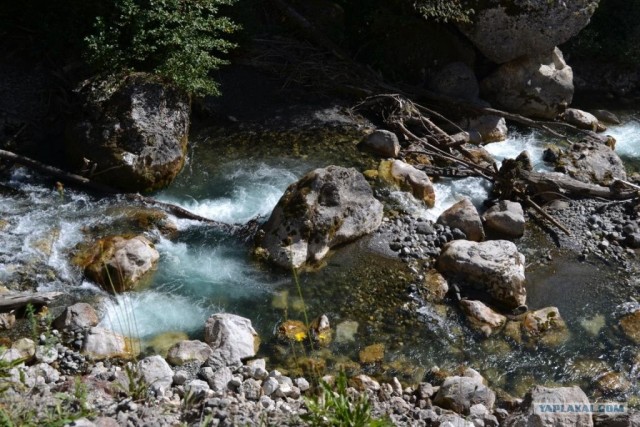 Абхазия там где....