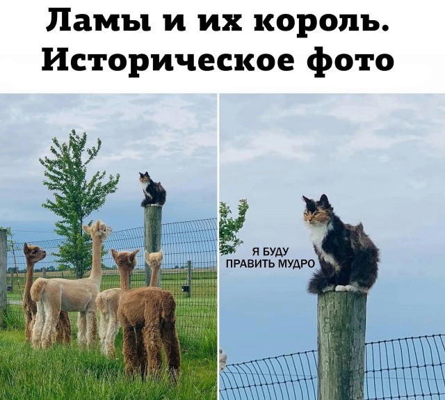 Так себе картинки 25.10.22