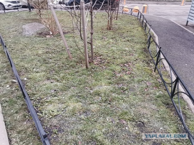 Выступление Терминатора