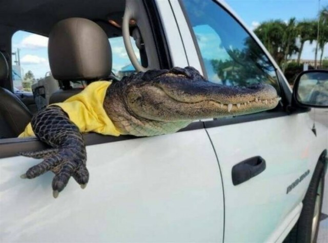 Подборка интересных и прикольных фото из Сети 01.04.23