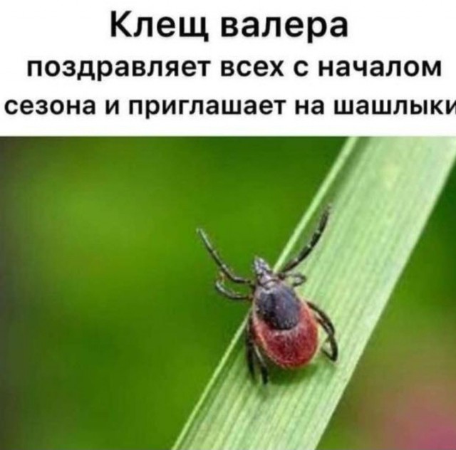 Екатеринбург разноцветный. Как уличные художники изменили унылые фасады города: фото до и после