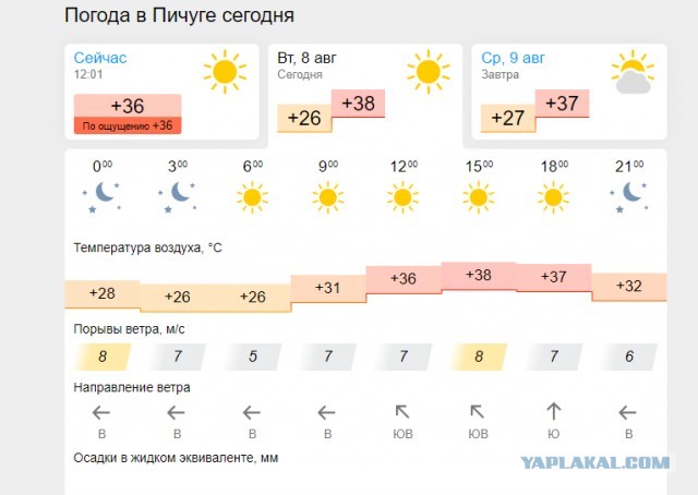 Женился на девственнице и пожалел!