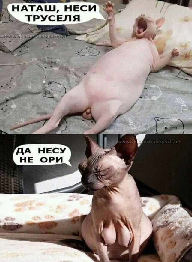 Всего понемногу. От 12.08