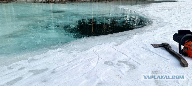 Красивые фото ЯПа