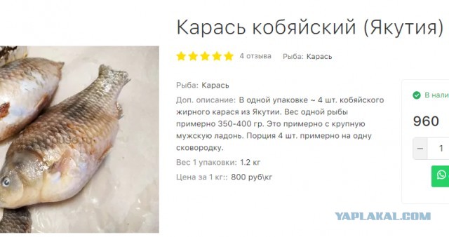 Промысловая рыбалка в очень сильный мороз