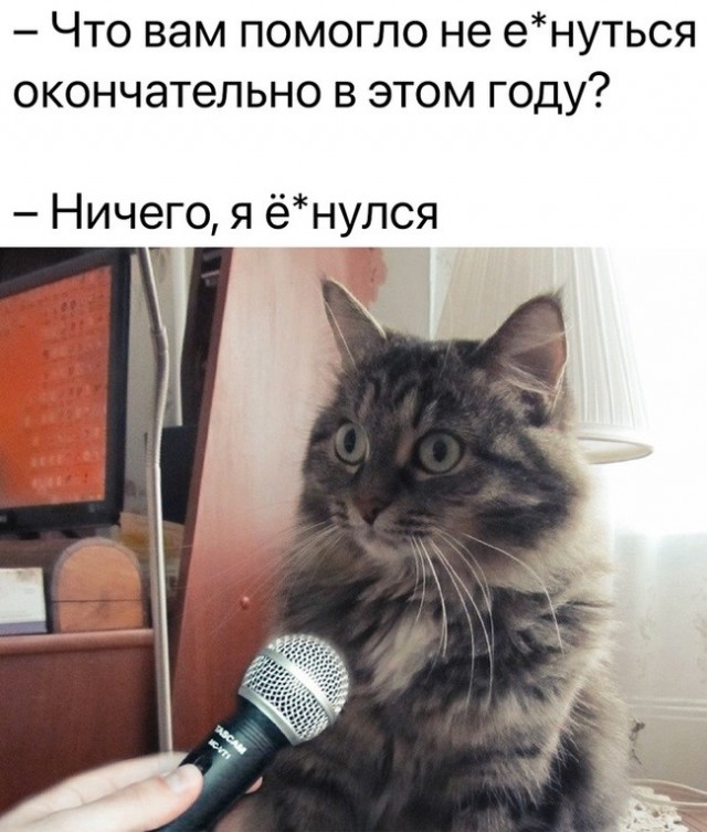 Веселые картинки