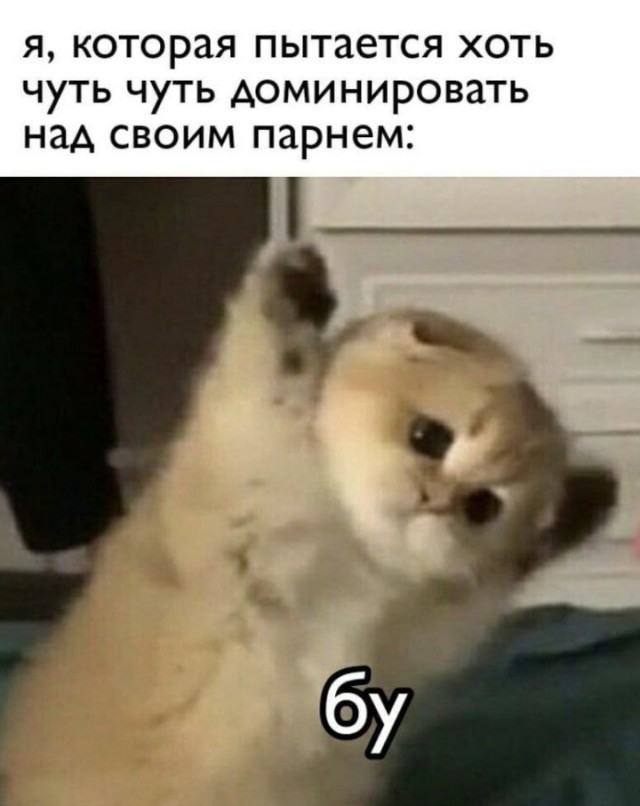Всего понемногу. От 15.12.23