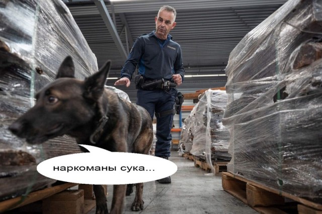 В Амстердаме могут легализовать кокаин
