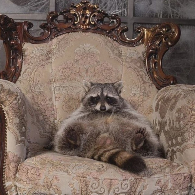 ФотоВинегрет