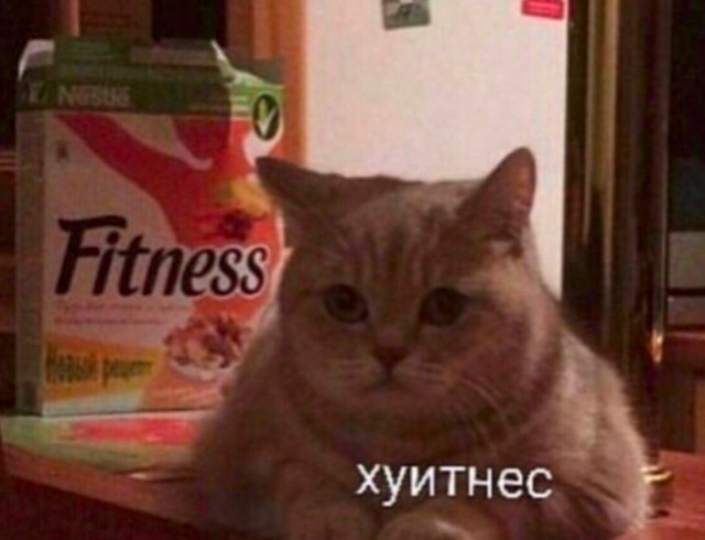 Бодипозитив, это примерно так