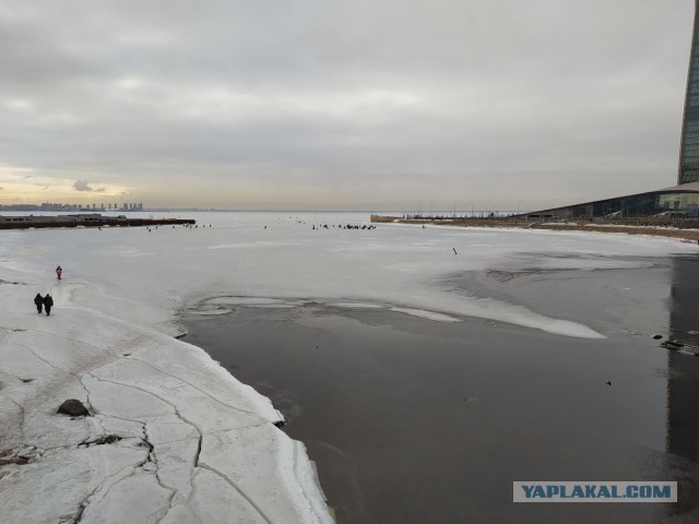 Санкт-Петербург 24.03.2024