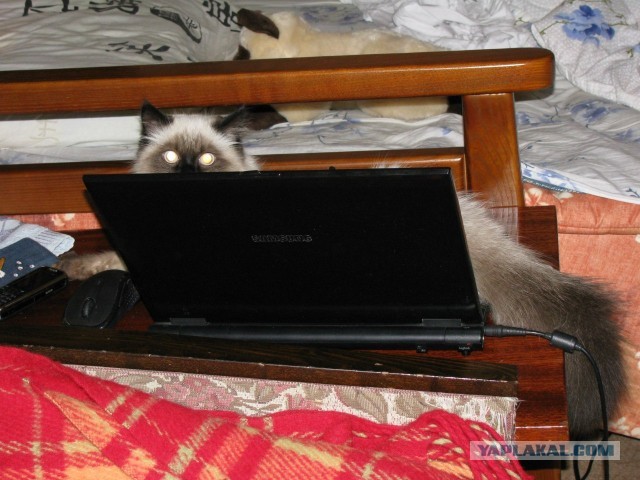 Поработал,можно и поесть)))