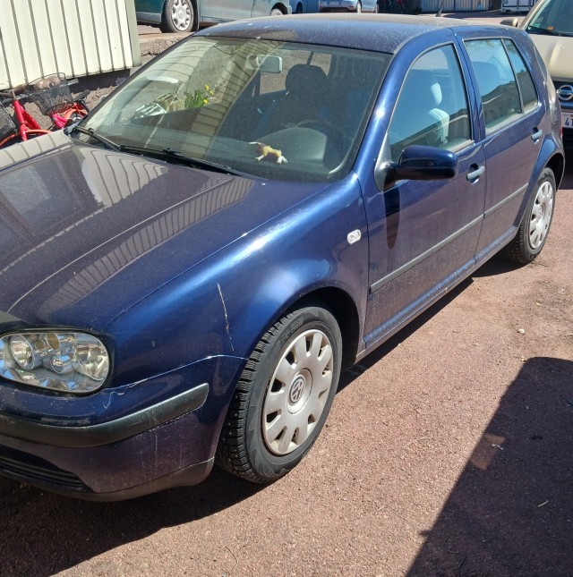 50 лет Volkswagen Golf