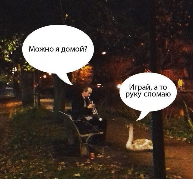 Никакие картинки