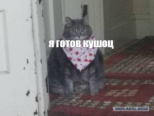 Остросюжет