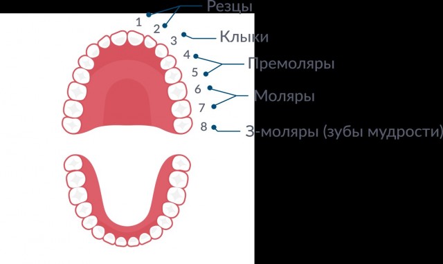 МогЁт