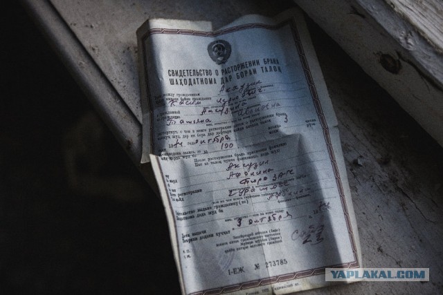 Поход в зону отчуждения со сталкером.