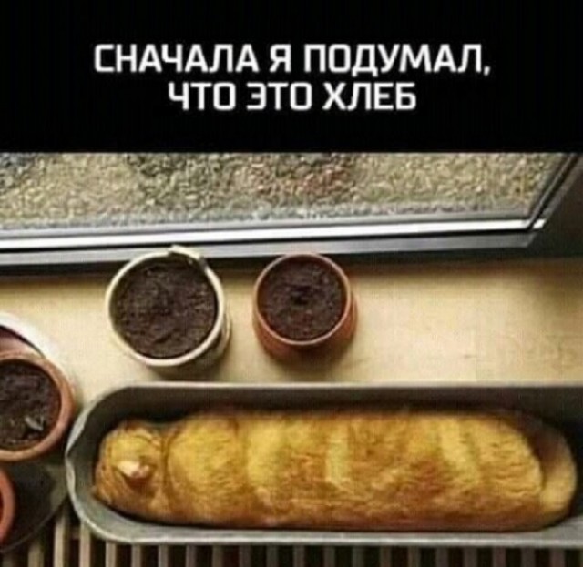 Картинки разные с надписями и без