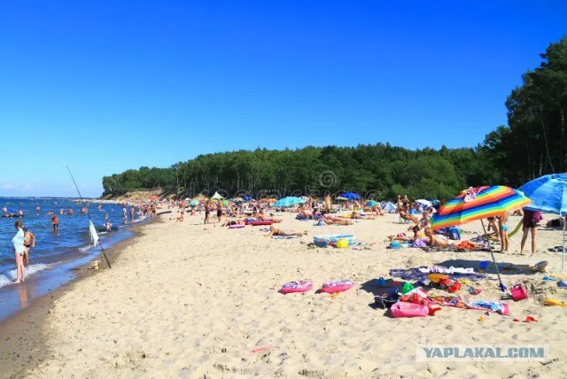 Собранный загрязнённый песок с берега Черного моря