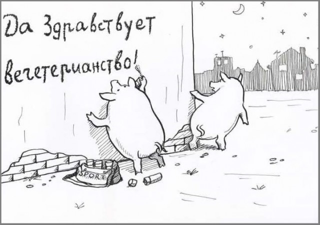 Картинки разные с надписями и без