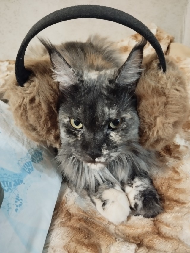 Конфуз в постели!