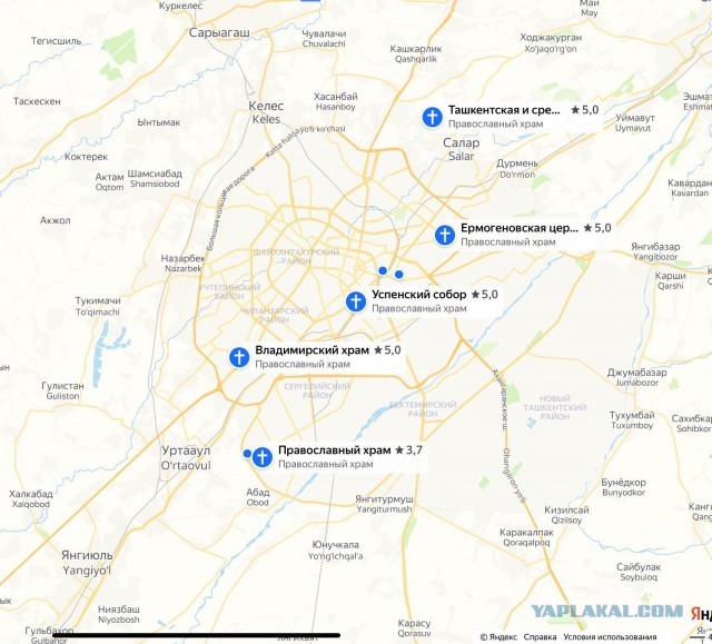 Коричневая зараза не пройдет