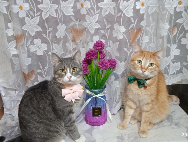 Косоглазый Смайлик