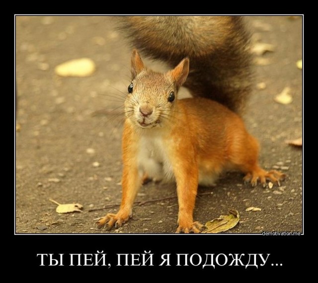 как при выходе из запоя сделать так чтобы не трясло и уснуть можно было