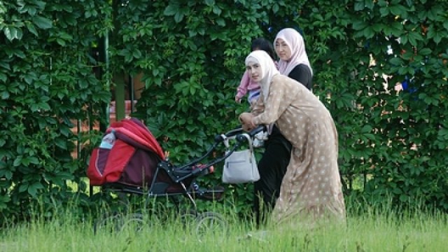 Запретить мигранткам рожать бесплатно предложили депутатыЭто снизит нагрузку на здравоохранение и налогоплательщиков.
