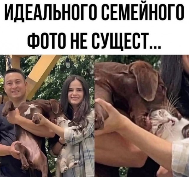 Завалялось тут случайно немного забавных картинок