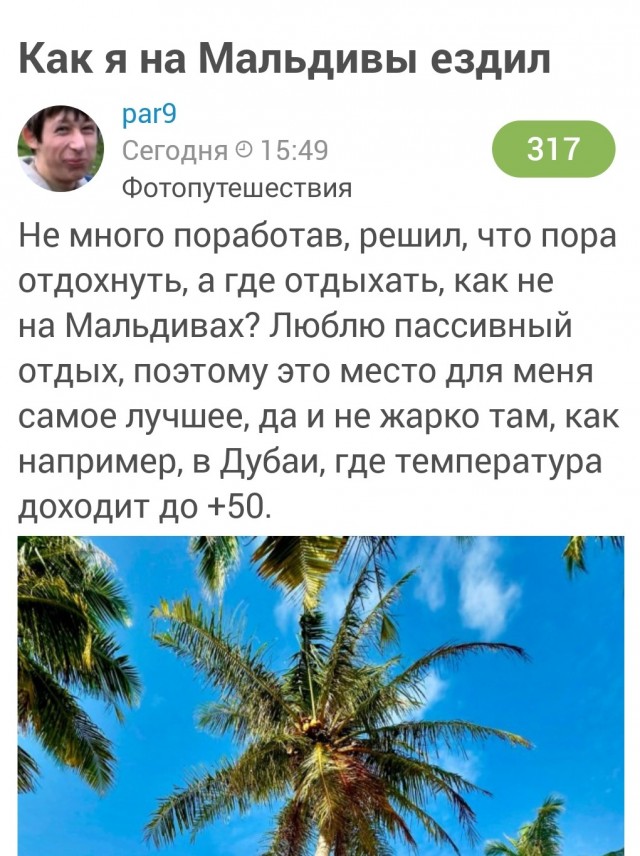 Котёнок с Мальдив нашёл новый дом в России. Кроха прибился к российским туристам, которые взяли его с собой в Москву