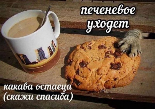 Картинки для деградации 29 (разной степени свежести)