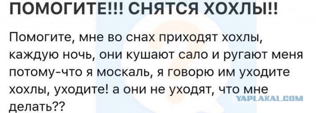 Вопросы, которые не зададут президенту на прямой линии