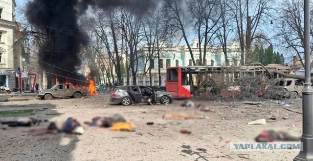 24 человека погибли