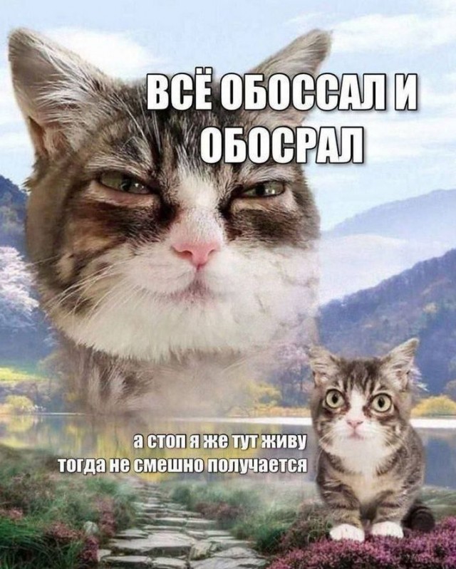 Картиночки, баянчики 20 февраля