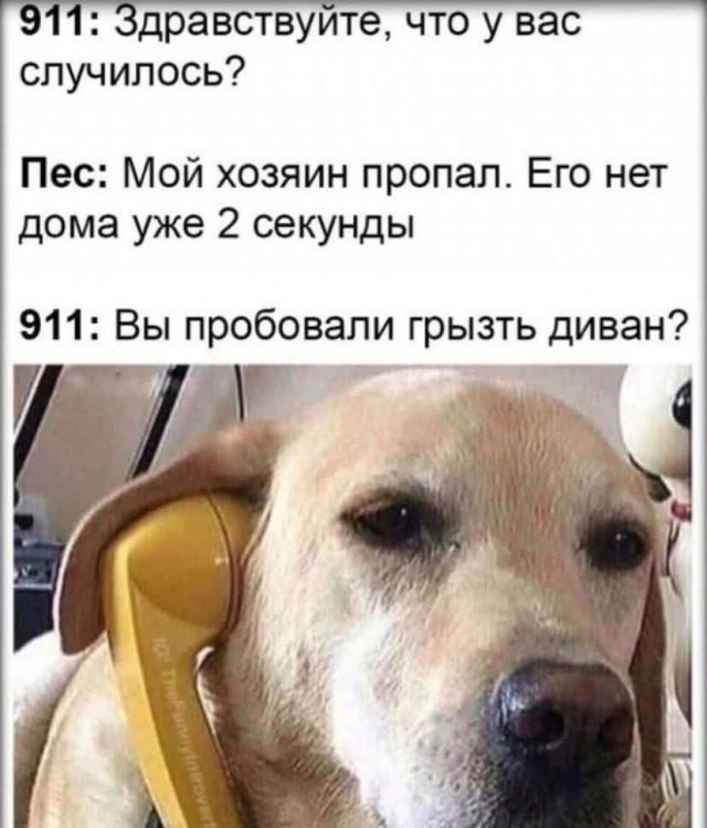 Маленькая пятница 11.03