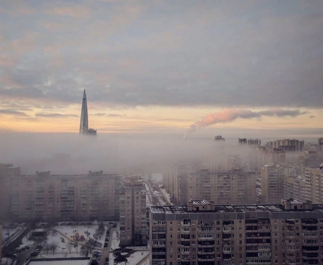 Туман над парком