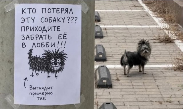 Так себе картинки 01.07.26