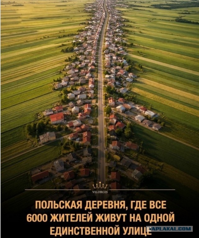 Так себе картинки 29.09.26