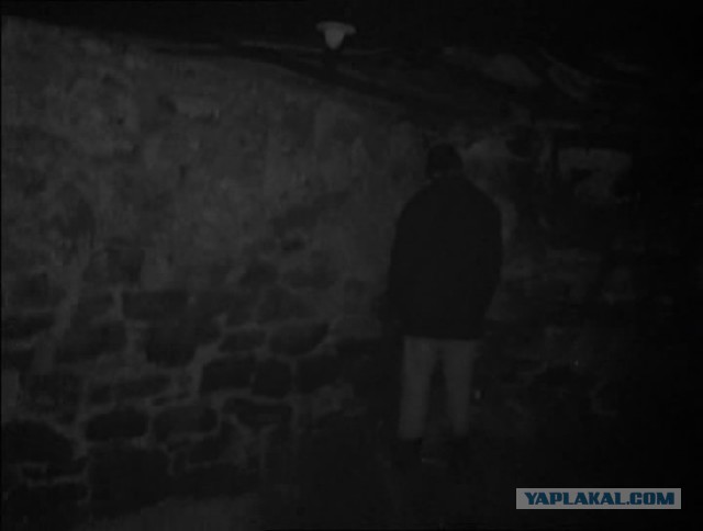 У меня кот часто так же делает
