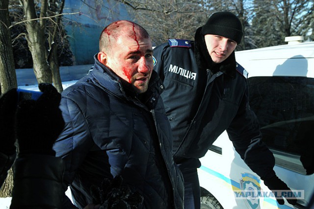 "Георгиевские " ленточки против флагов УПА