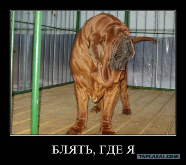 Демотиваторы.