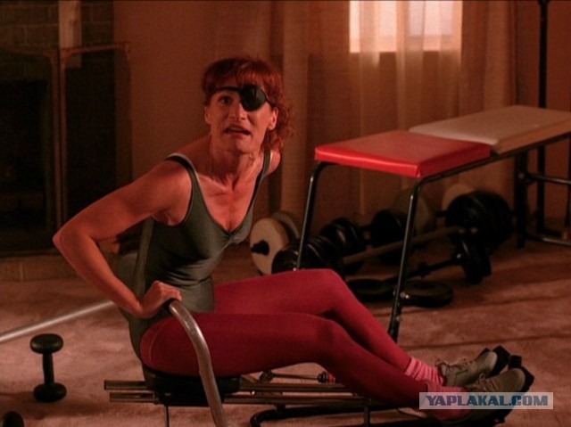 24 года назад на экраны вышел Твин Пикс.