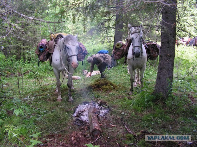 Сибирь настоящая