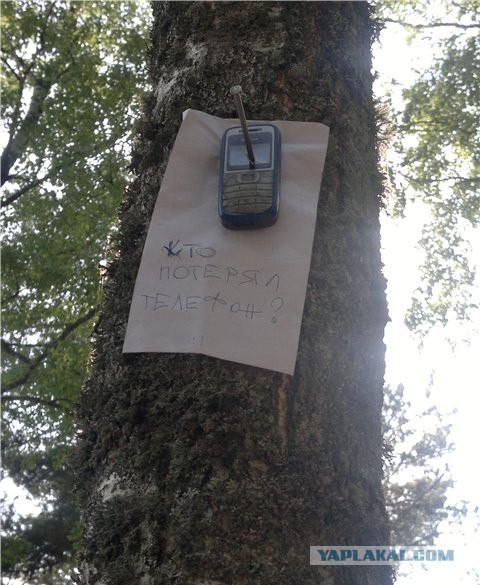 Телефон никто не терял?