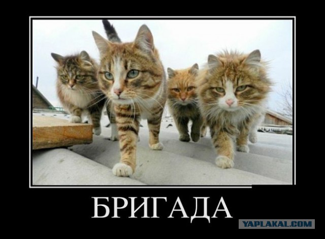 Party hard