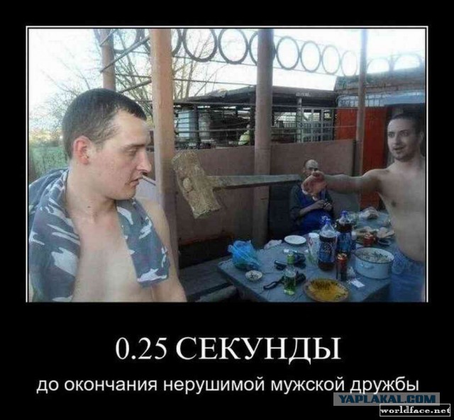 Моя подборка веселенькой мути