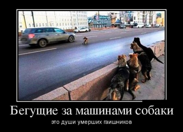 Давно демотиваторов не было